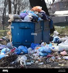 Best Residential Junk Removal  in Berwyn Heights, MD
