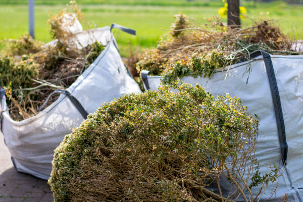 Best Demolition Debris Removal  in Berwyn Heights, MD